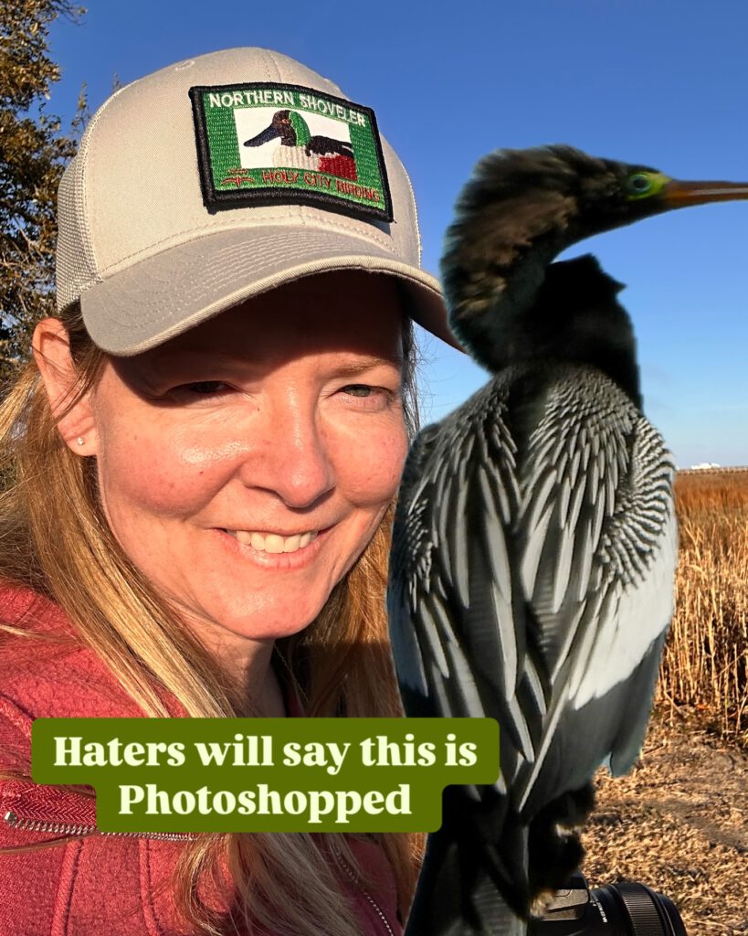 Human Birding Experiences