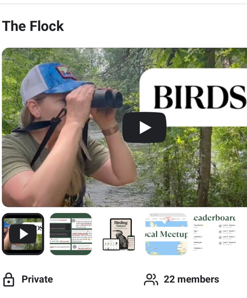 Why I Started an Online Birding Community