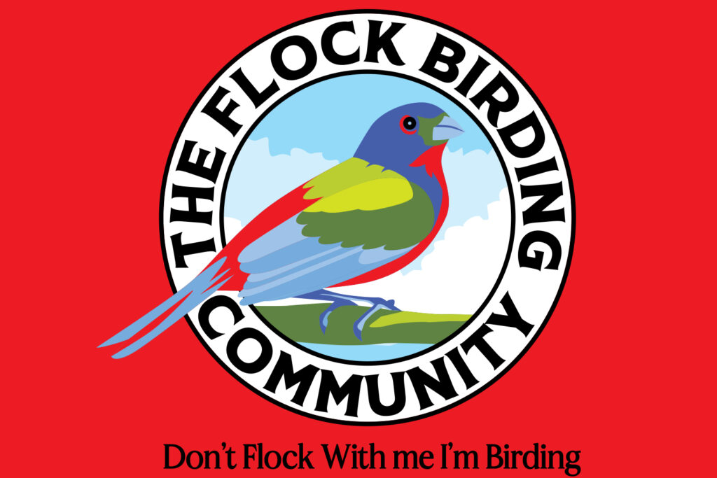 What is a Trash Bird